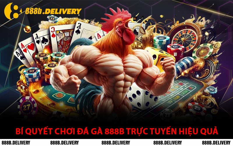 Bí Quyết Chơi Đá Gà 888B Trực Tuyến Hiệu Quả