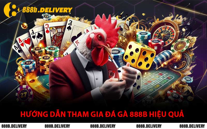 Hướng Dẫn Tham Gia Đá Gà 888B Hiệu Quả