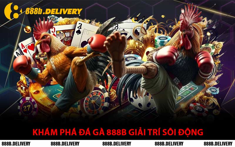 Khám Phá Đá Gà 888B Giải Trí Sôi Động
