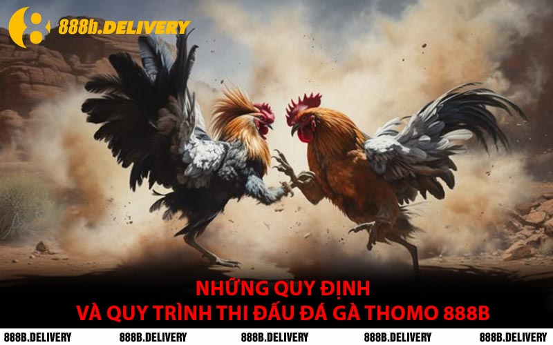 Những quy định và quy trình thi đấu đá gà Thomo 888B